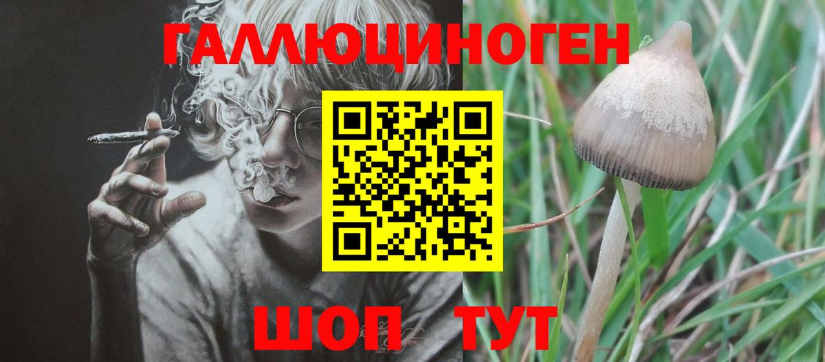 Псилоцибиновые грибы мицелий  купить наркотик  Старая Купавна  Вход с VPN 